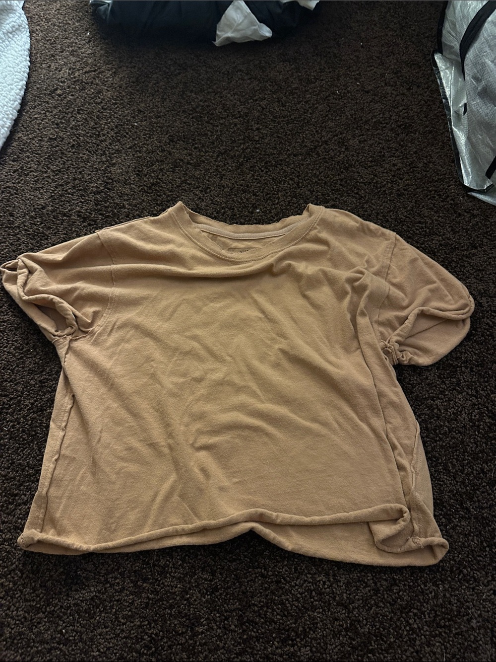 We The Free Cropped Tee in Light Brown